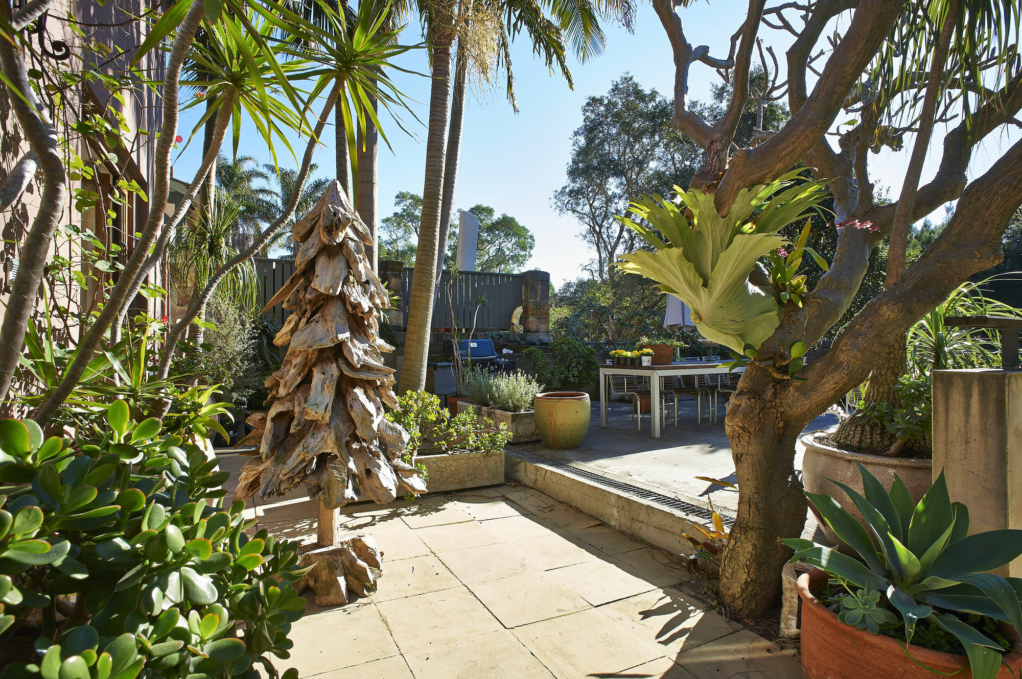 Bondi Beach House Sydney Esterno foto